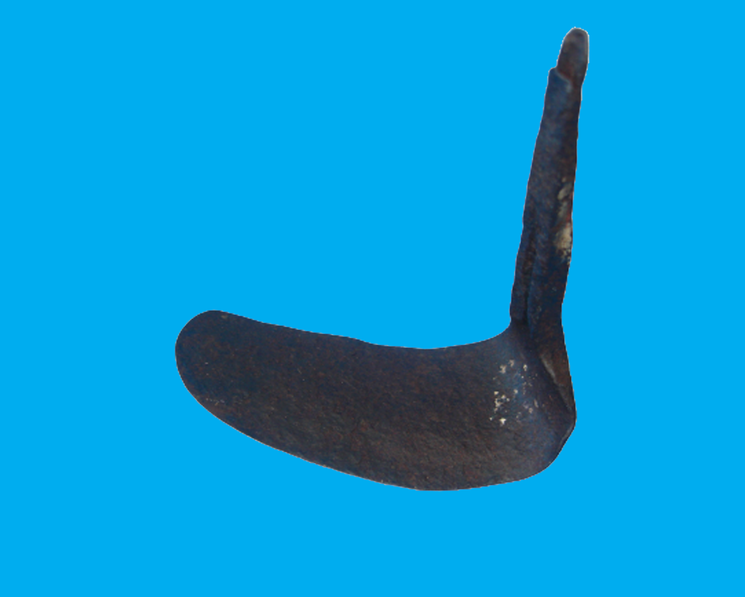 Bảo tàng Ninh thuận