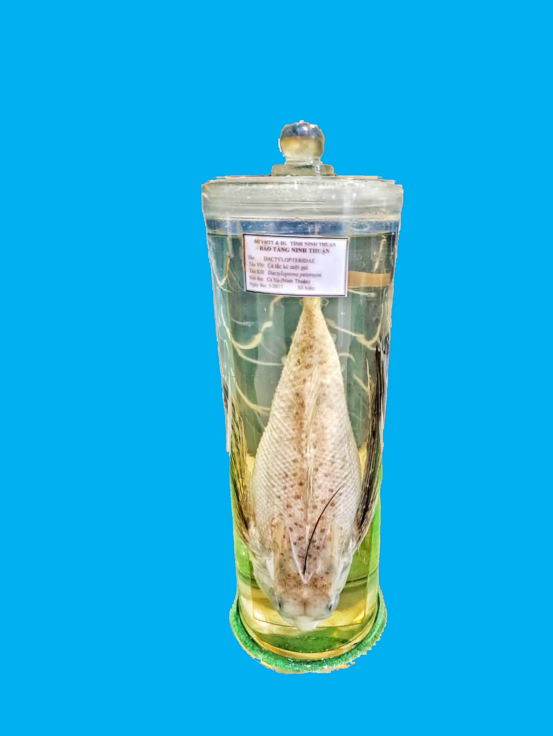 Bảo tàng Ninh thuận
