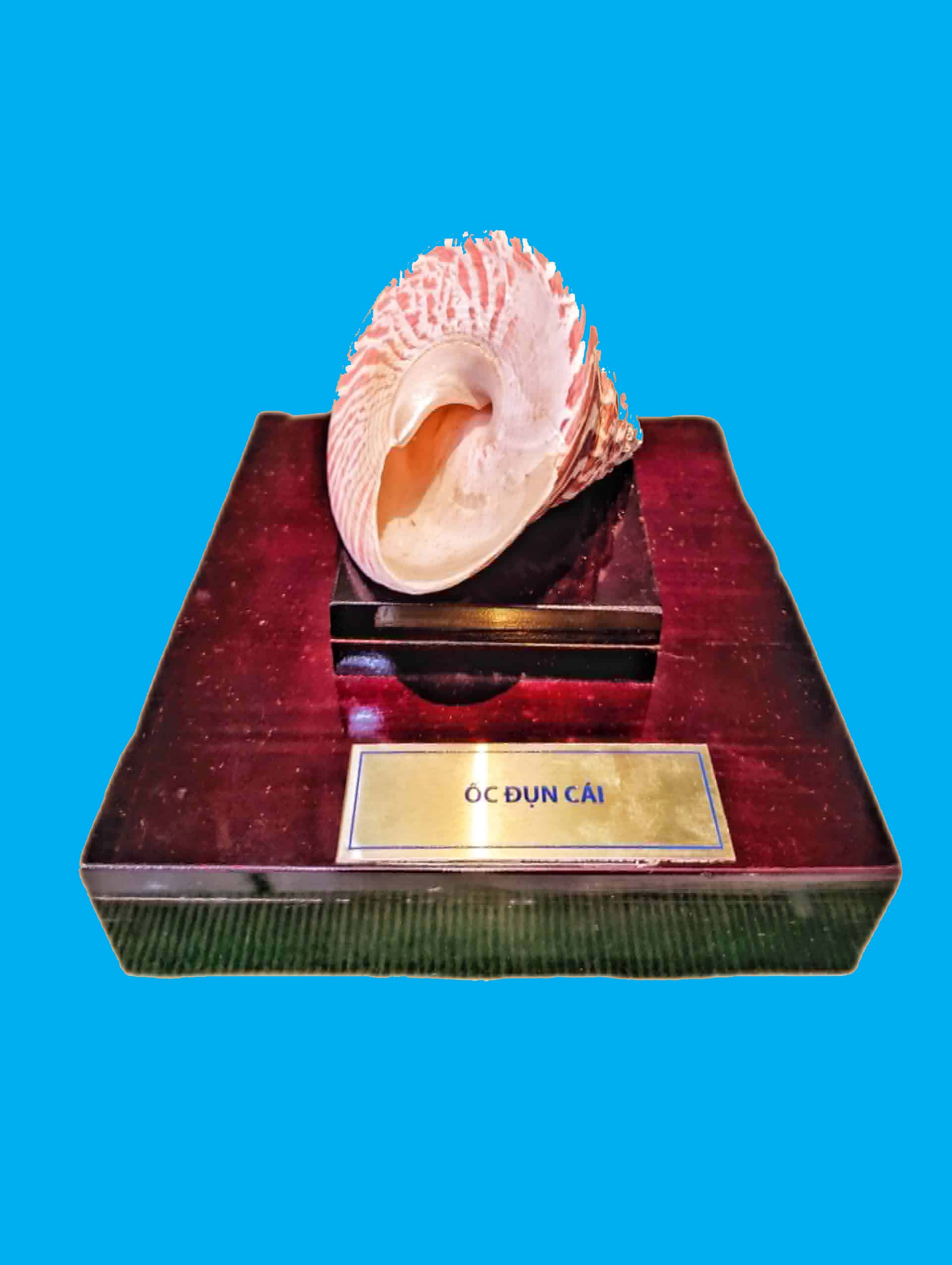 Bảo tàng Ninh thuận