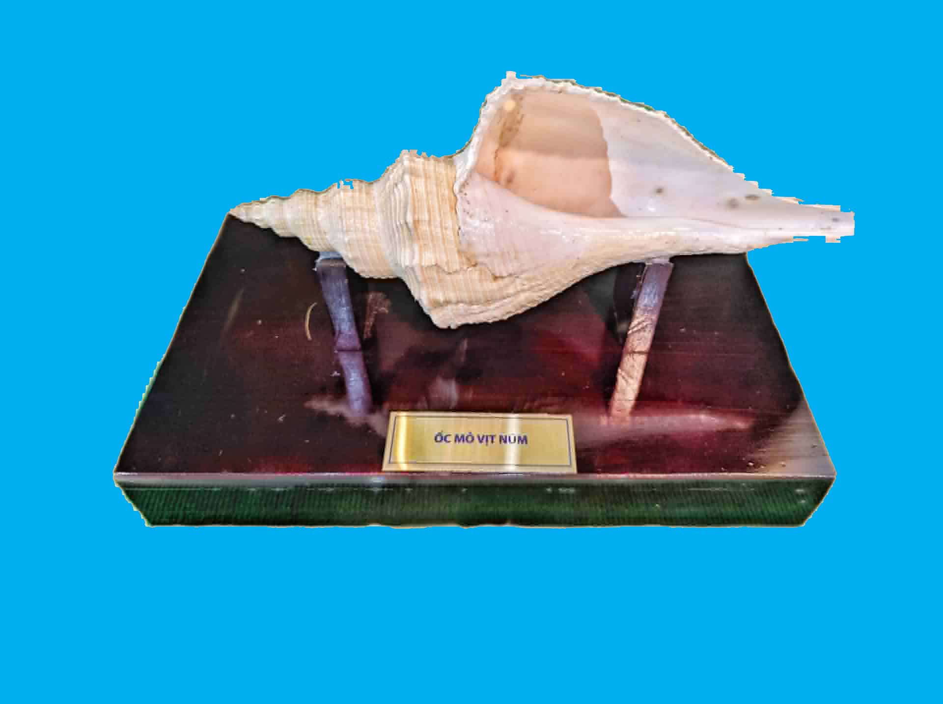 Bảo tàng Ninh thuận