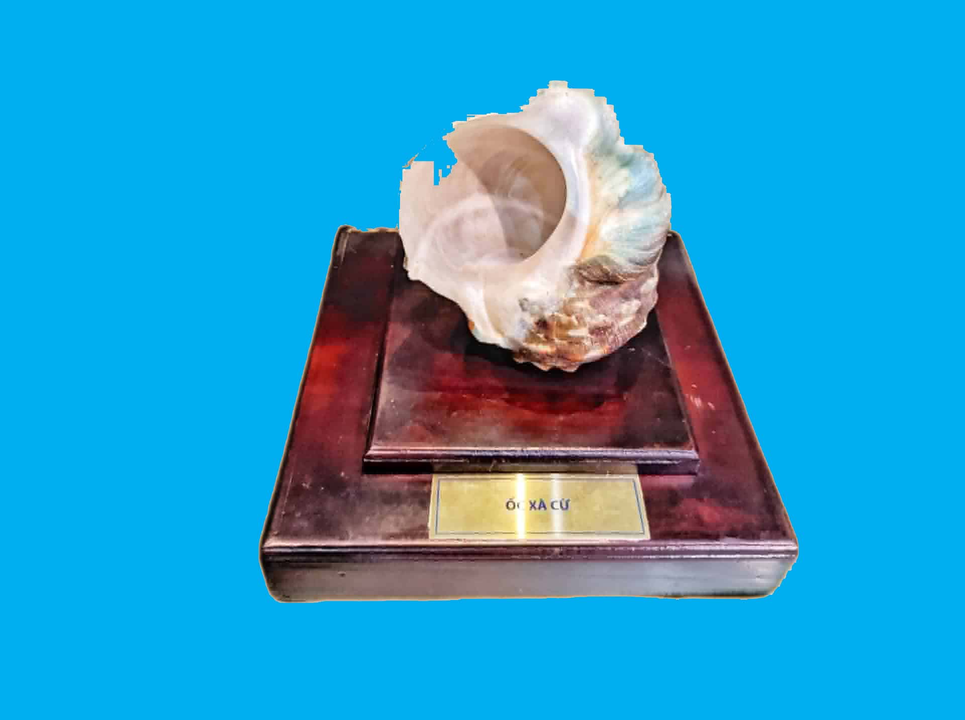 Bảo tàng Ninh thuận