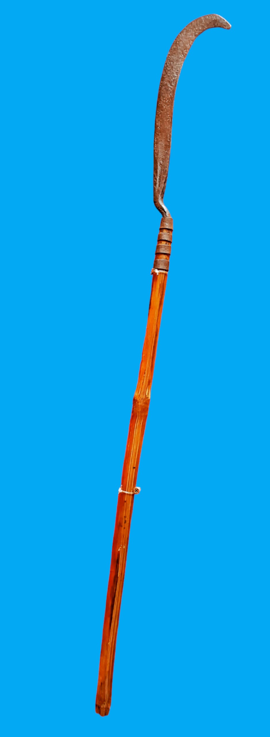 Bảo tàng Ninh thuận