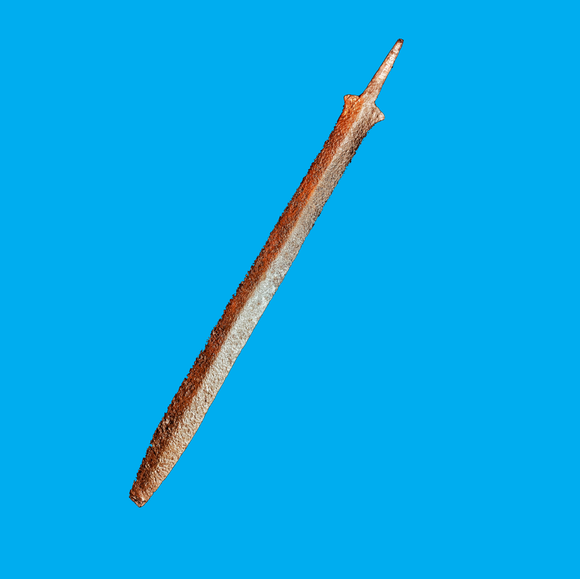Bảo tàng Ninh thuận