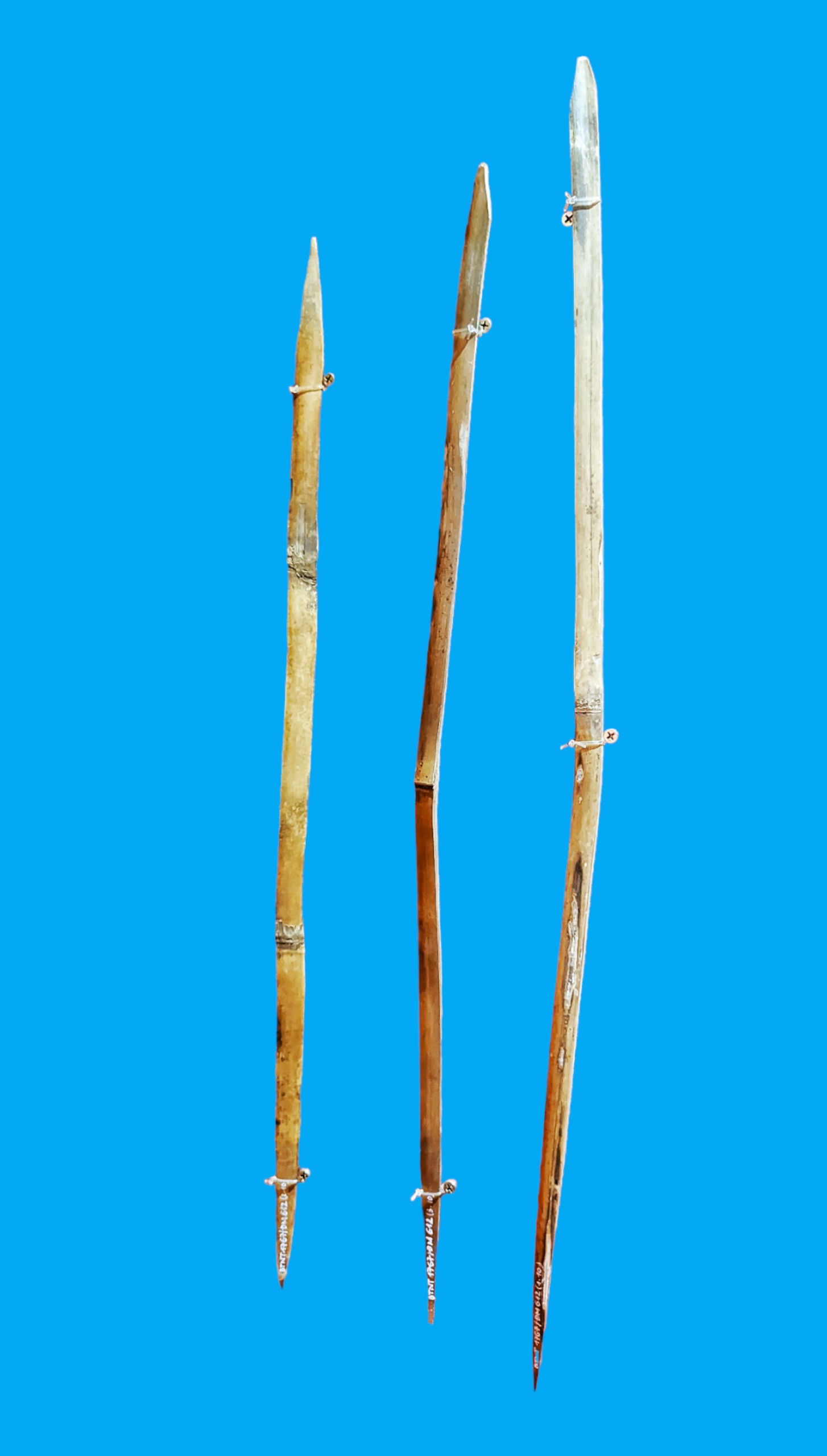 Bảo tàng Ninh thuận