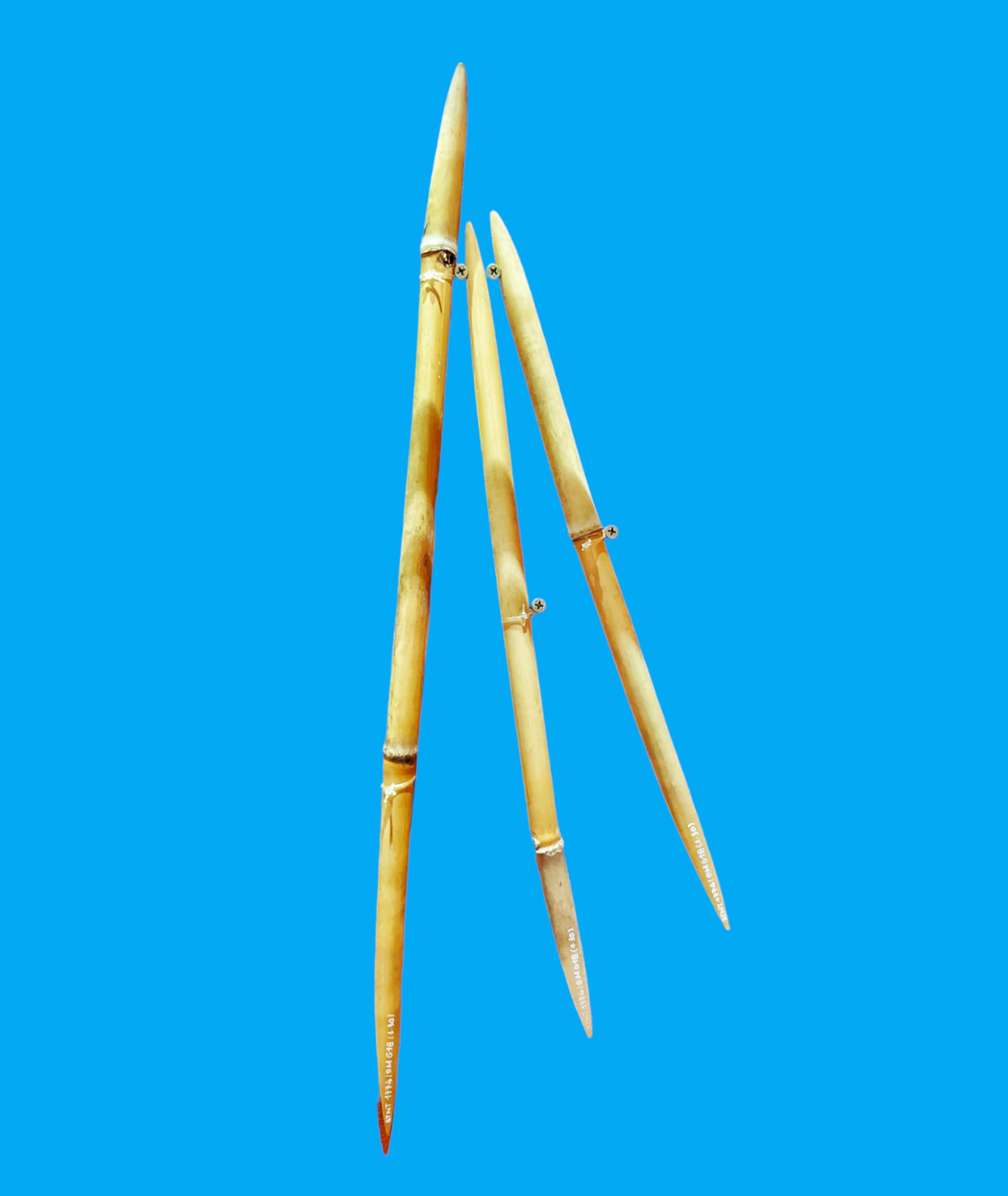 Bảo tàng Ninh thuận