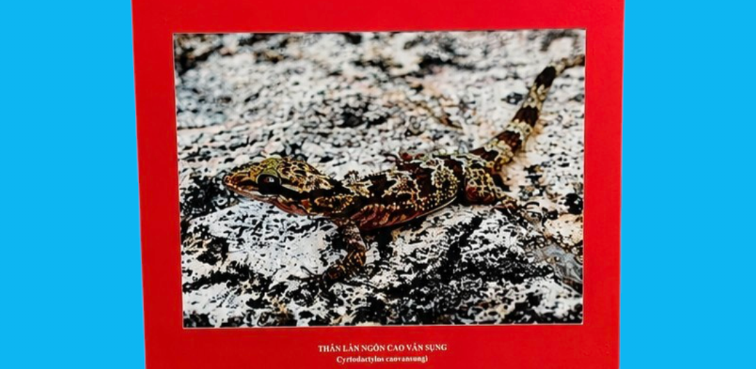 Bảo tàng Ninh thuận