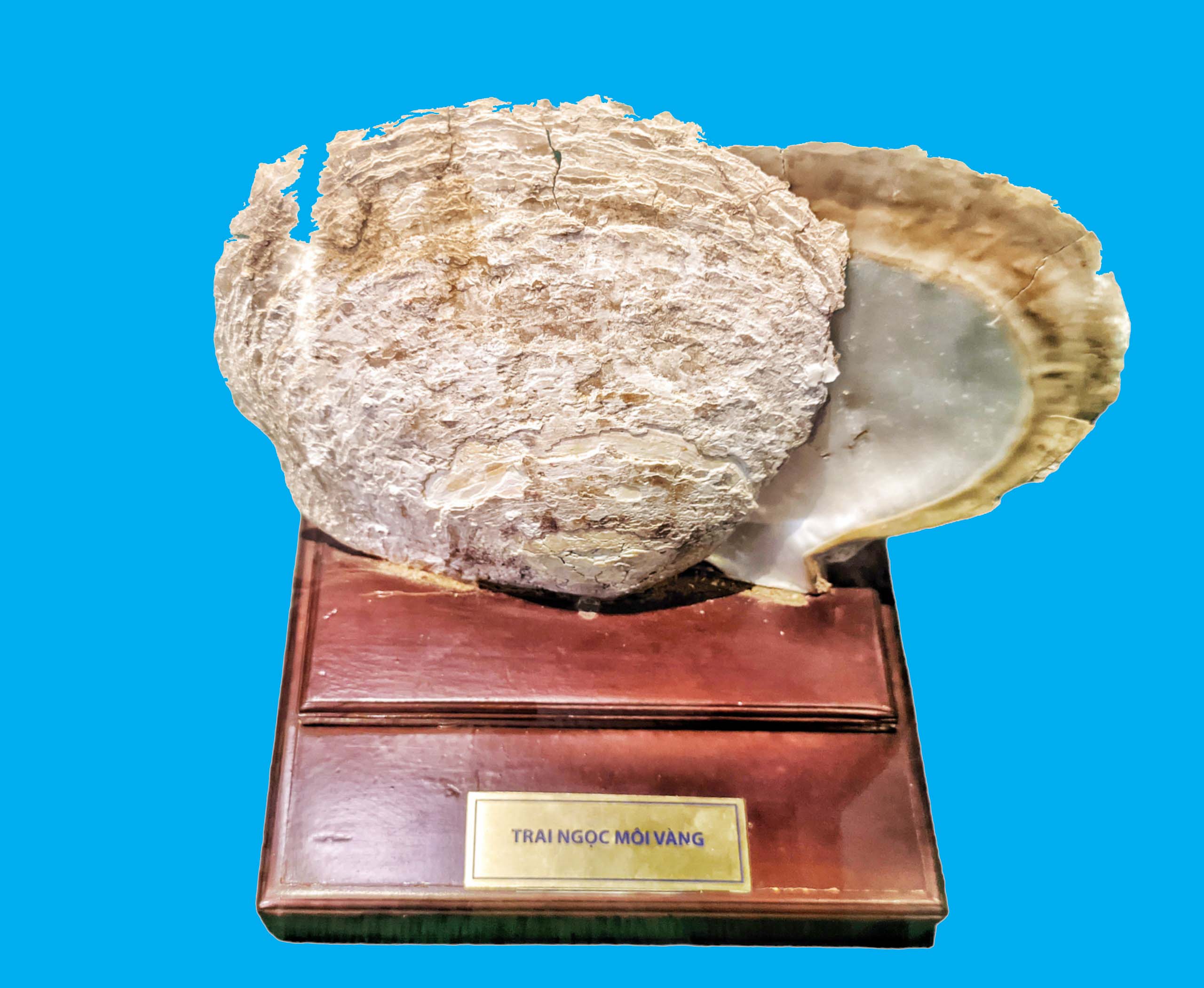 Bảo tàng Ninh thuận
