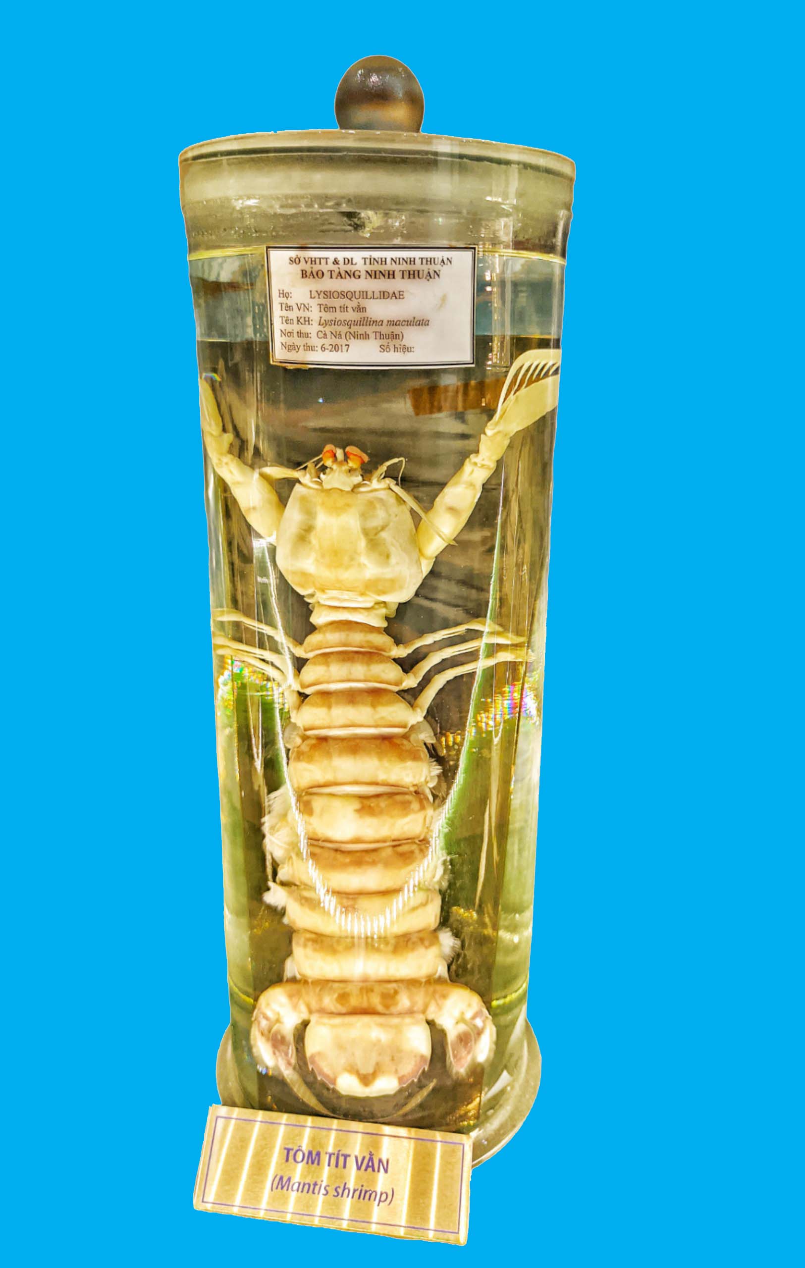 Bảo tàng Ninh thuận