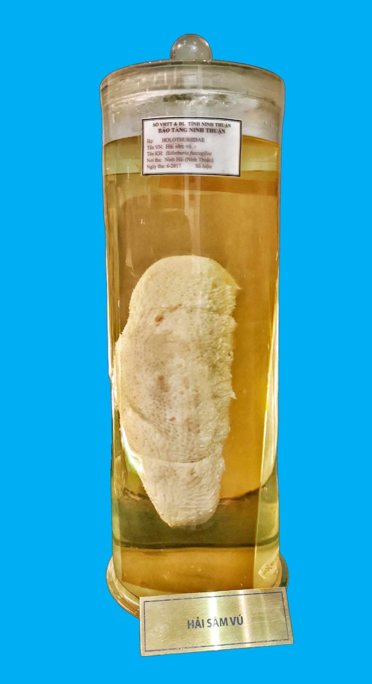 Bảo tàng Ninh thuận