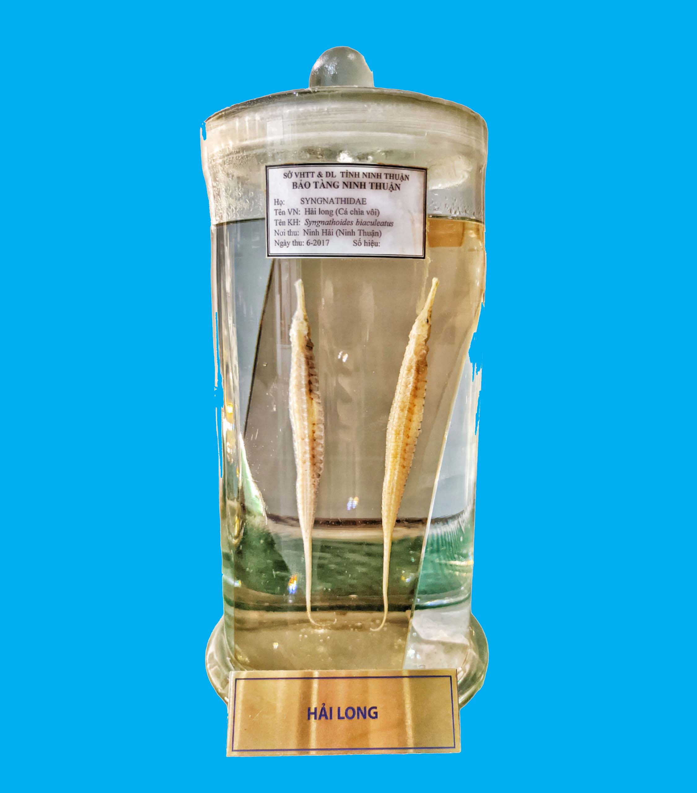 Bảo tàng Ninh thuận