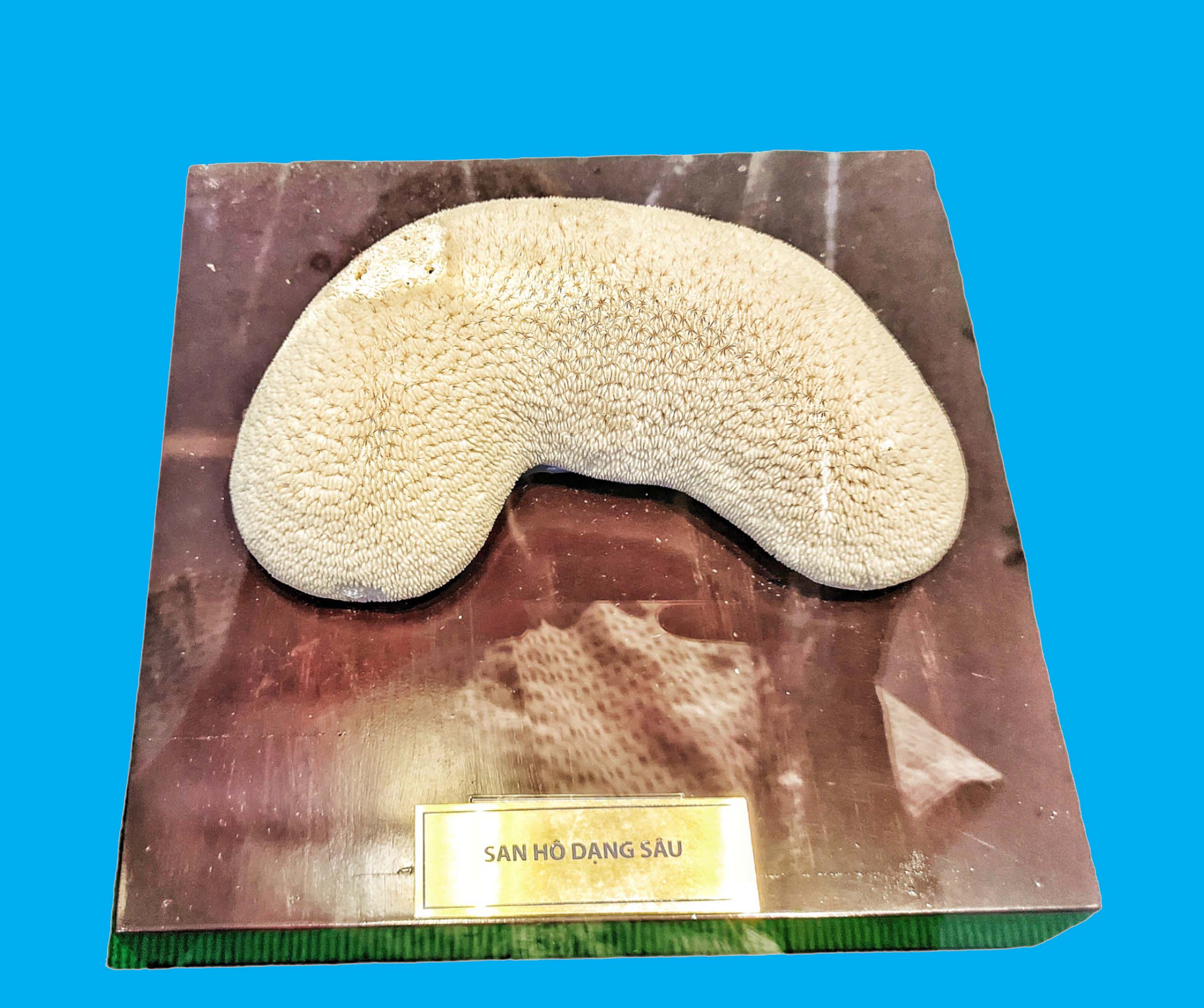 Bảo tàng Ninh thuận
