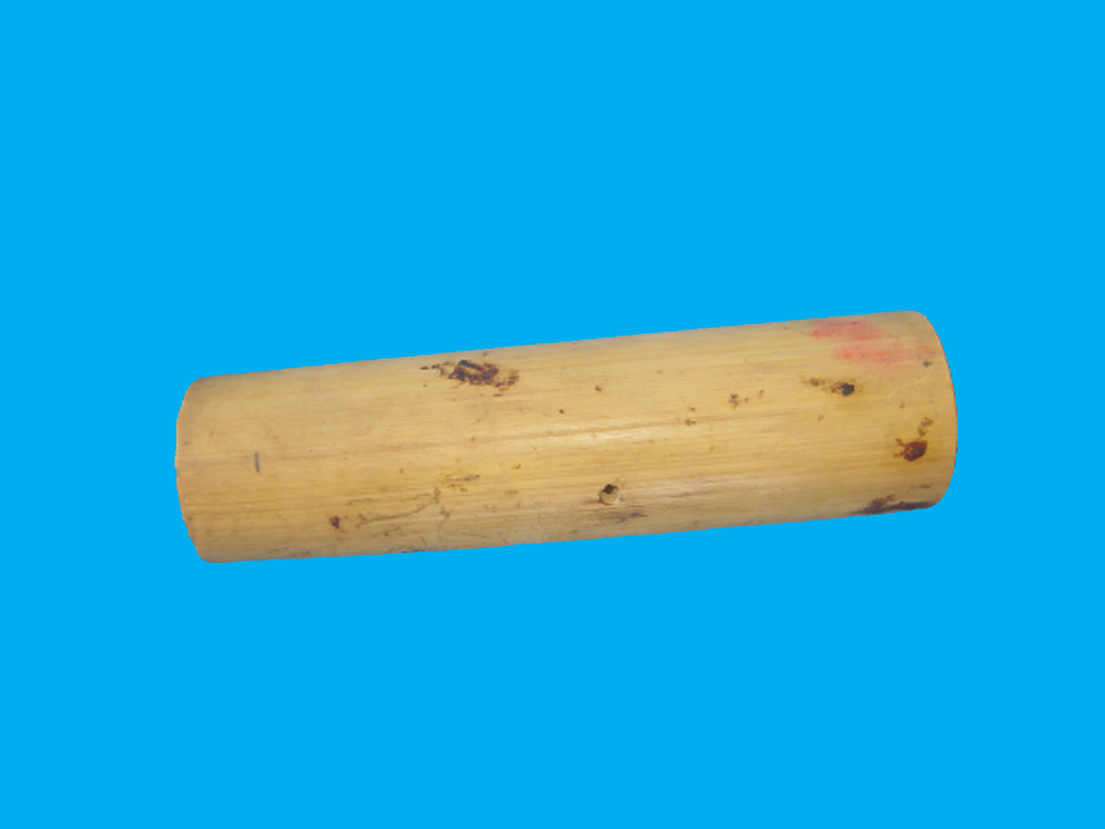 Bảo tàng Ninh thuận