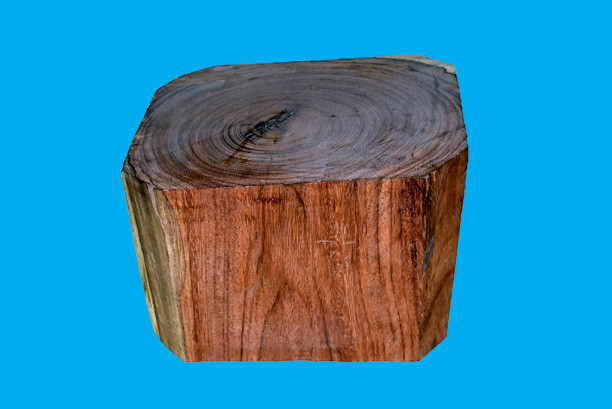 Bảo tàng Ninh thuận